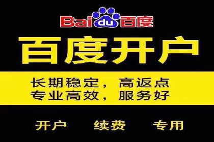 百度SEO推广案例：实战解析与效果展示
